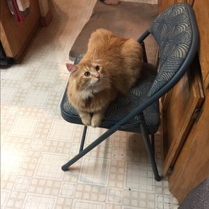 Meet your Posher, Beverly